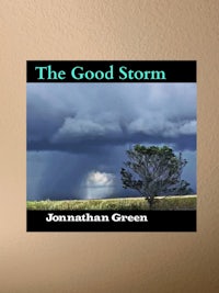 the good storm by jonathan green